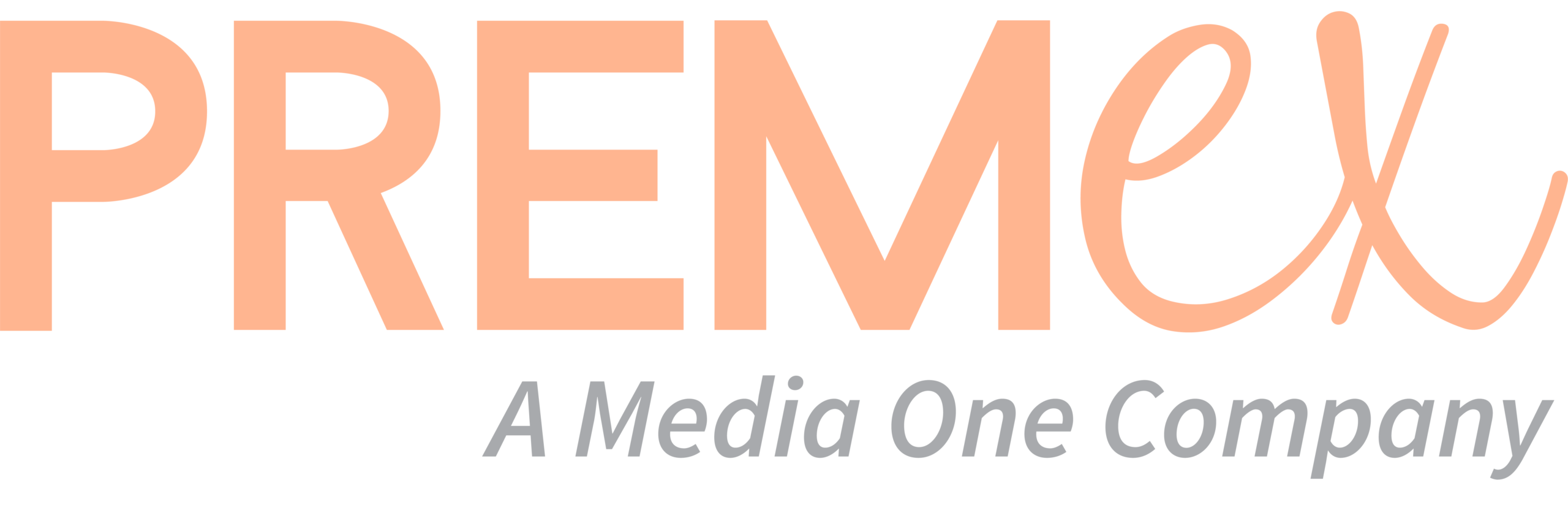 Premex Solutions